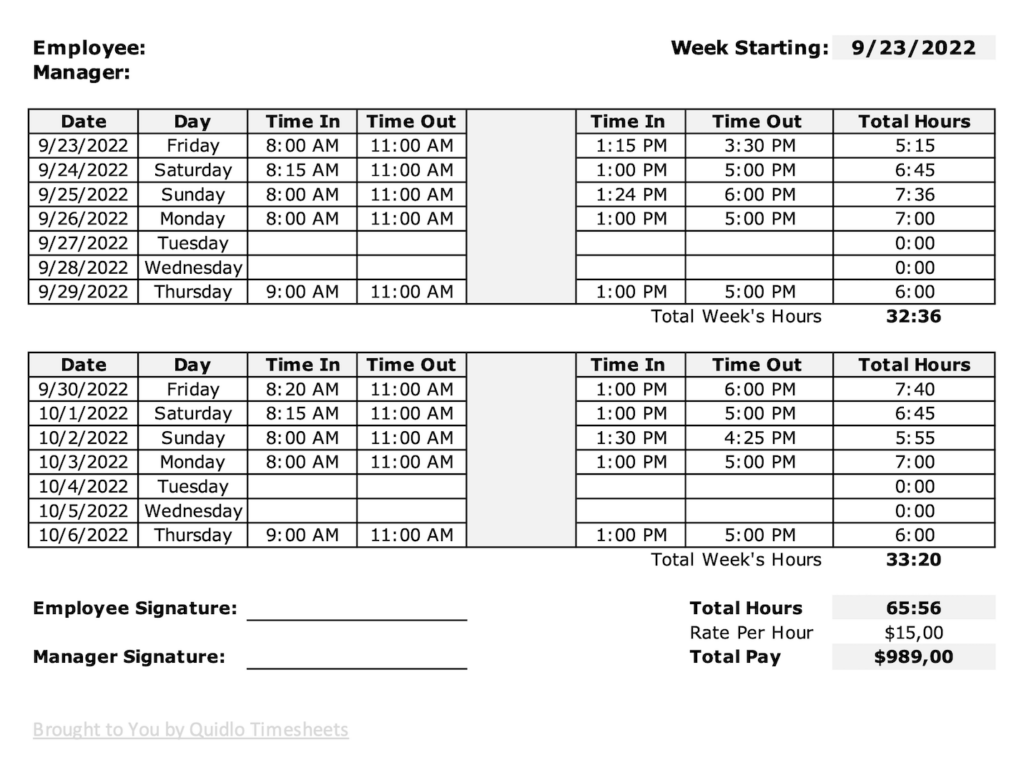 Biweekly time tracking Excel spreadsheet template preview