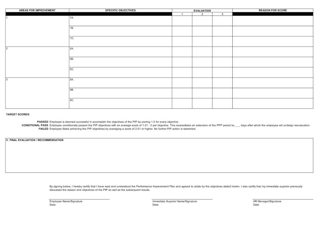 Performance Improvement Plan Template Page 2 Preview