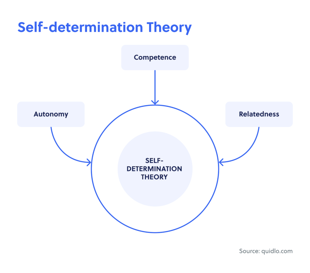 The Self-determination Theory Diagram