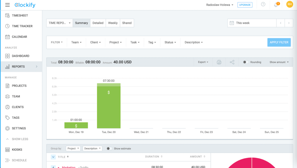 Clockify Summary Report View